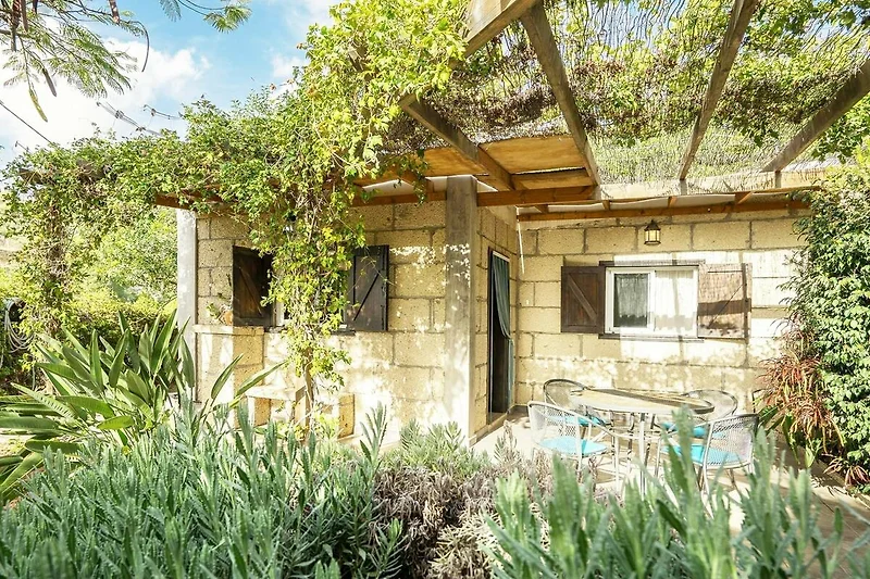 Außenseite Ferienhaus (Sommer)