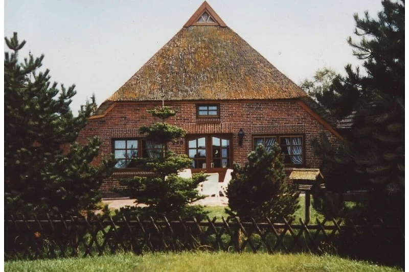 Exterieur vakantiehuis (zomer)