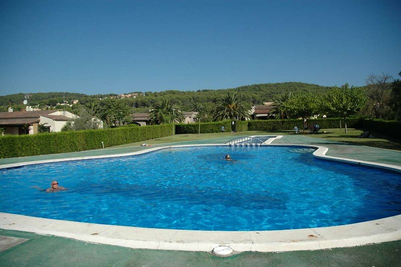 Schwimmbad des Ferienhauses