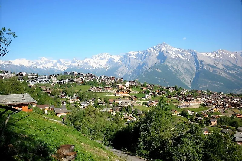 Aussicht vom Ferienhaus (Sommer)