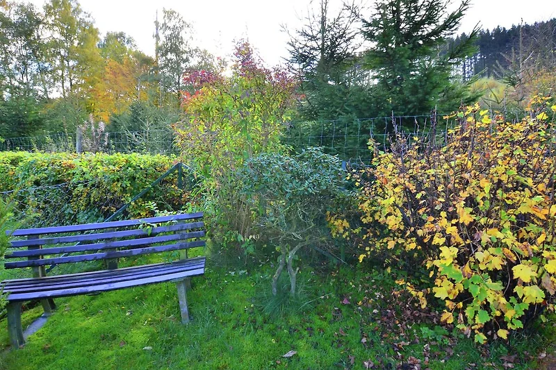 Garten (Sommer)