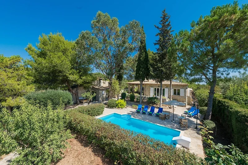 Exterieur vakantiehuis (zomer)