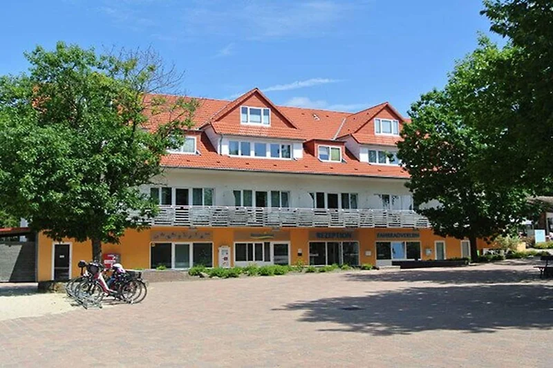 Außenseite Ferienhaus (Sommer)