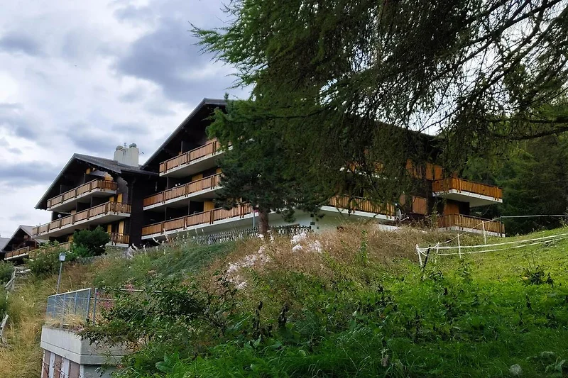 Außenseite Ferienhaus (Sommer)