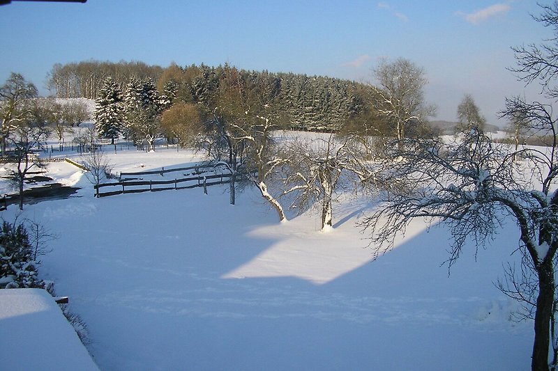 Tuin (winter)