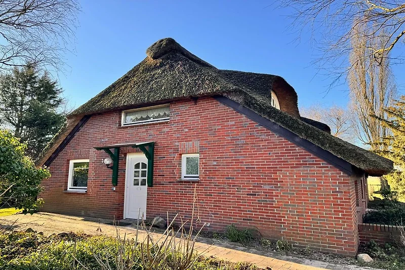 Exterieur vakantiehuis (zomer)