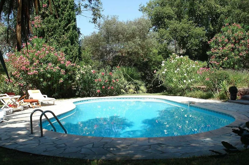 Piscina casa vacanze