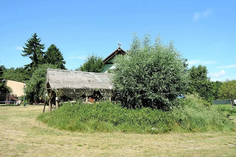 Garten (Sommer)