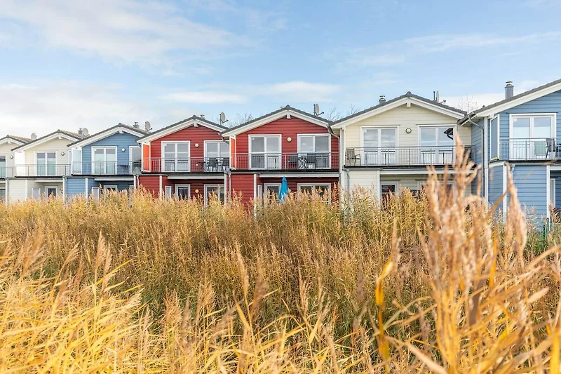 Außenseite Ferienhaus (Sommer)