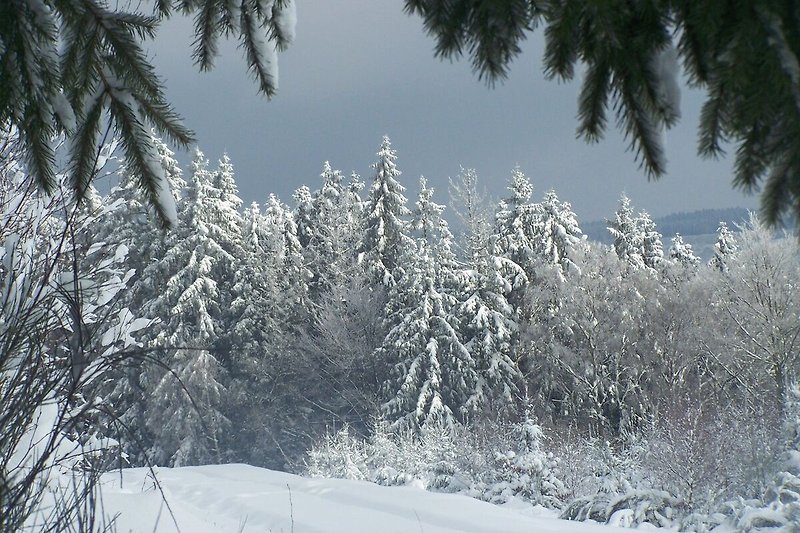 Surroundings (winter) (1-5 km)