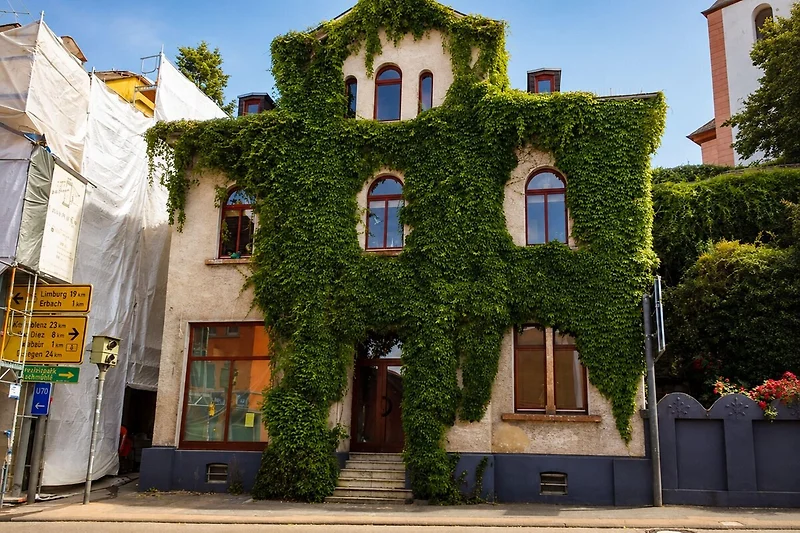Außenseite Ferienhaus (Sommer)