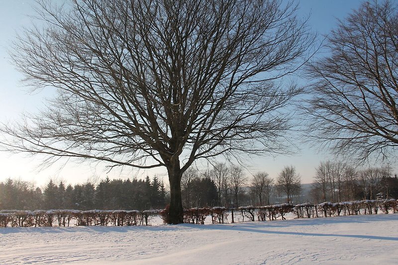 Directe omgeving (winter) (<1 km)