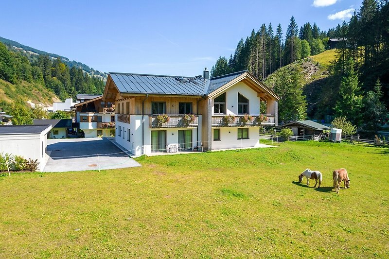Außenseite Ferienhaus (Sommer)