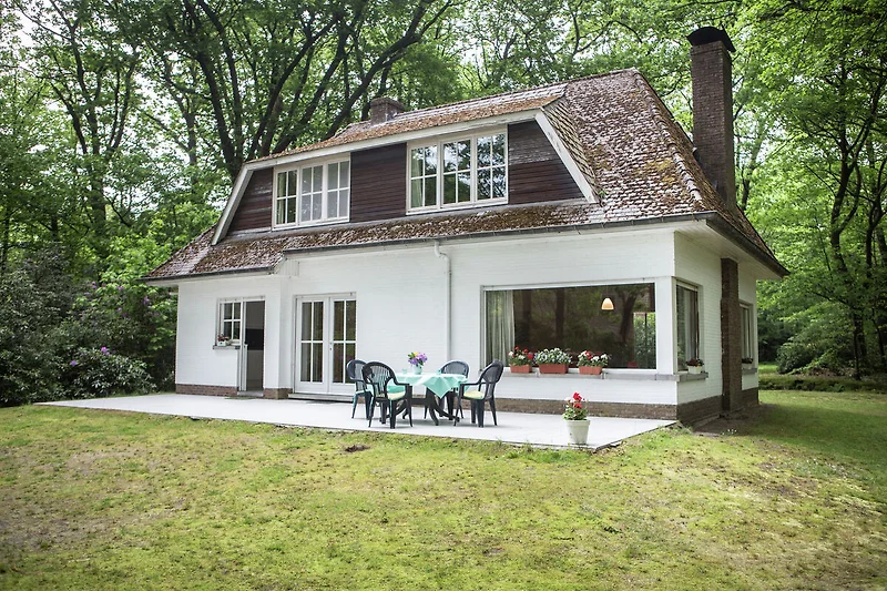 Exterieur vakantiehuis (zomer)