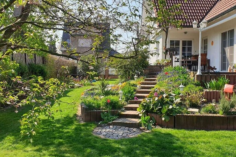 Tuin (zomer)