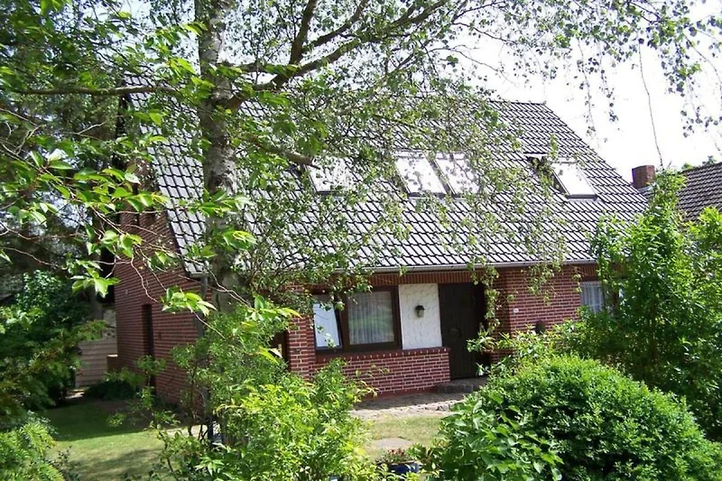 Außenseite Ferienhaus (Sommer)