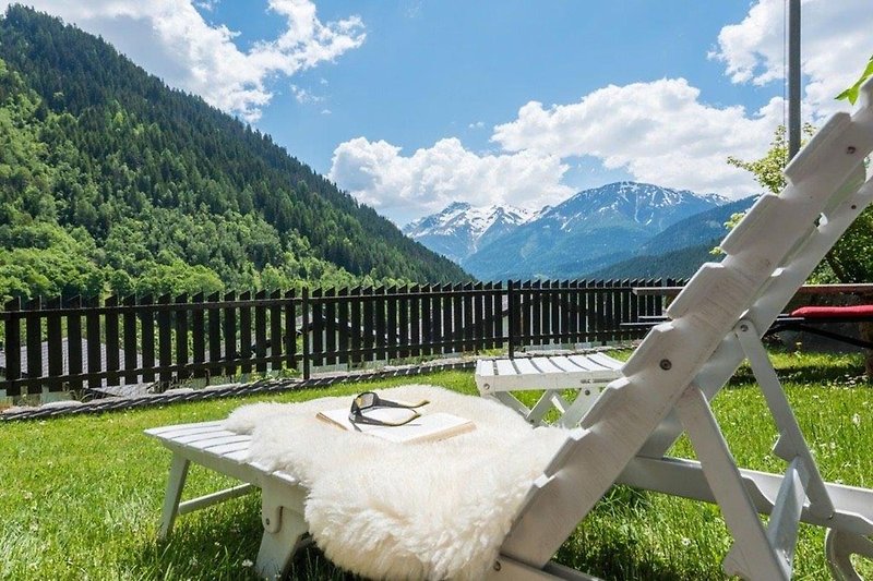 Garten (Sommer)