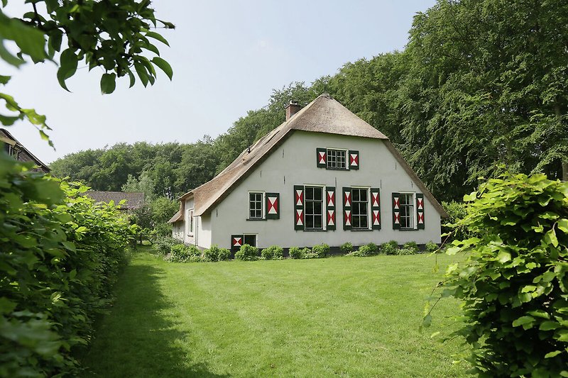 Außenseite Ferienhaus (Sommer)