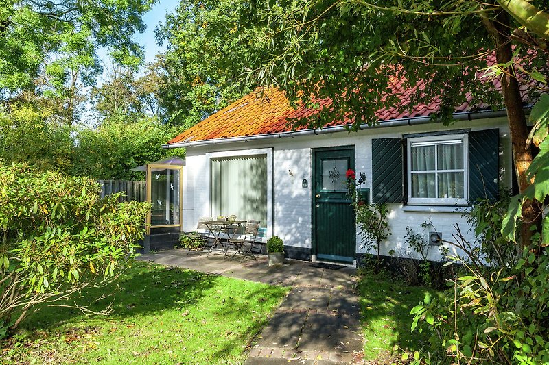 Außenseite Ferienhaus (Sommer)