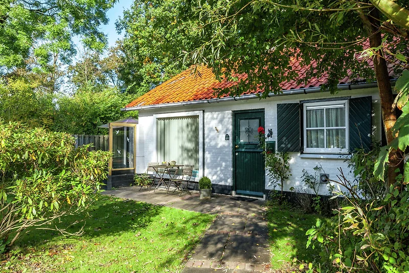 Außenseite Ferienhaus (Sommer)