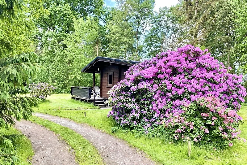 Exterieur vakantiehuis (zomer)