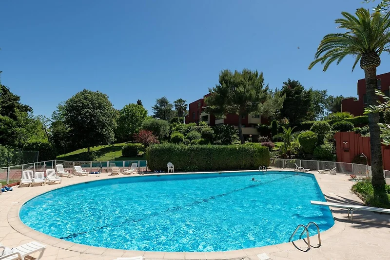 Schwimmbad des Ferienhauses