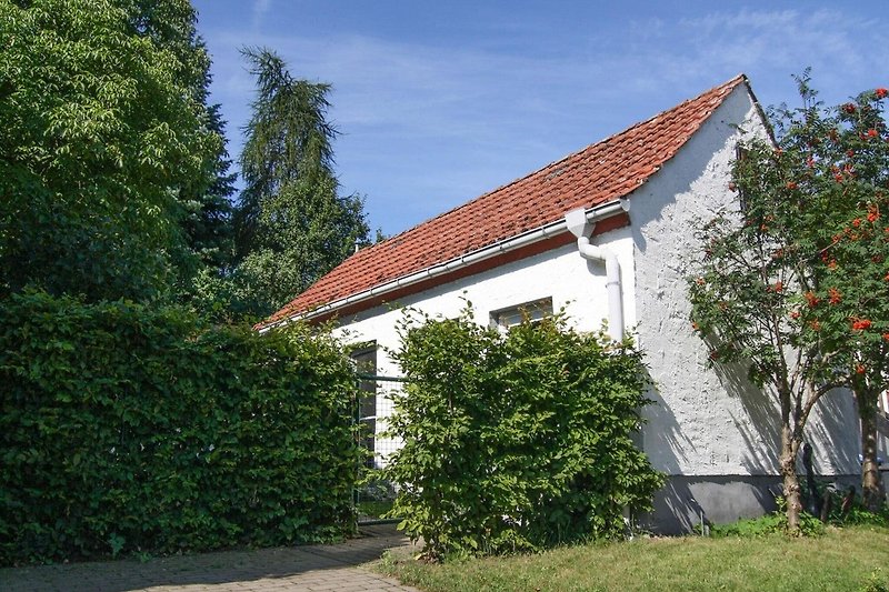 Außenseite Ferienhaus (Sommer)