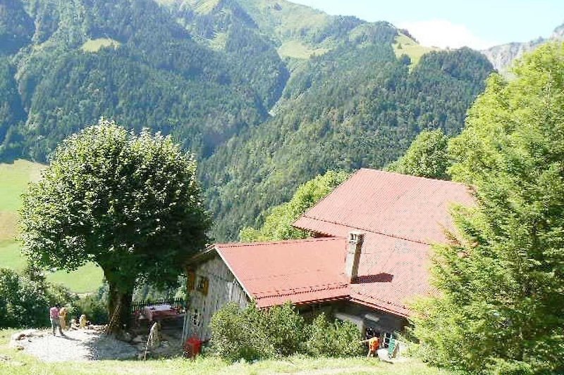 Außenseite Ferienhaus (Sommer)