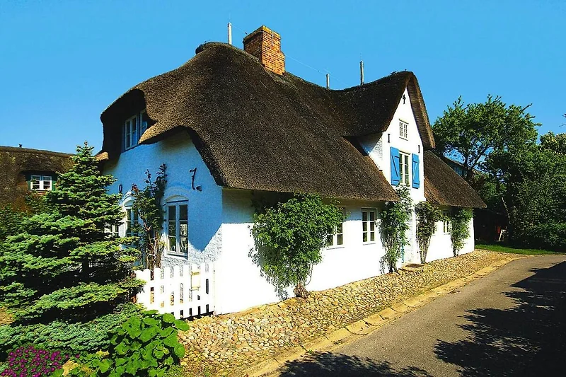 Außenseite Ferienhaus (Sommer)