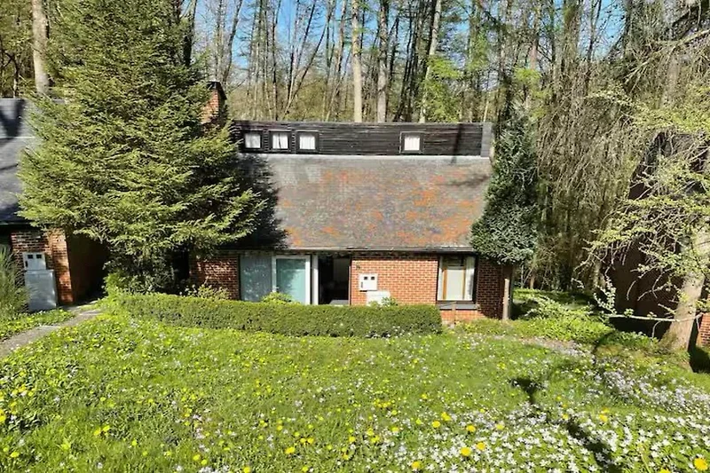Exterieur vakantiehuis (zomer)