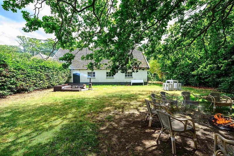 Garten (Sommer)