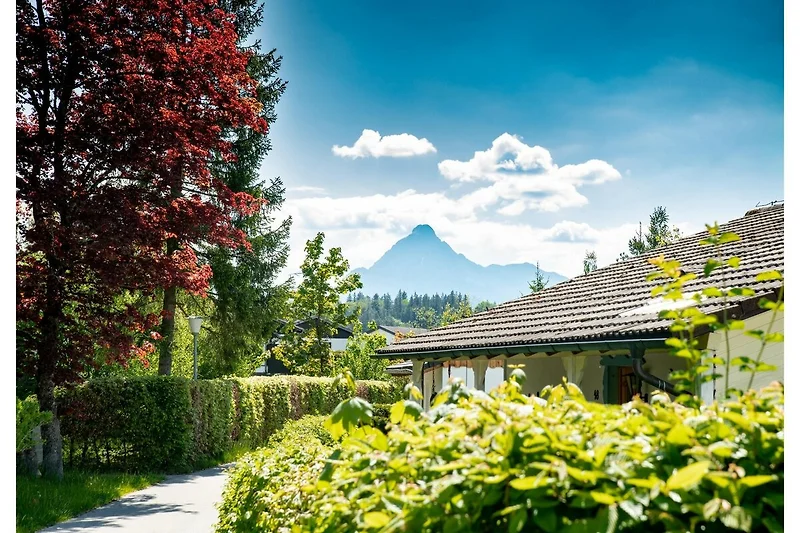 Esterno casa vacanze (estate)
