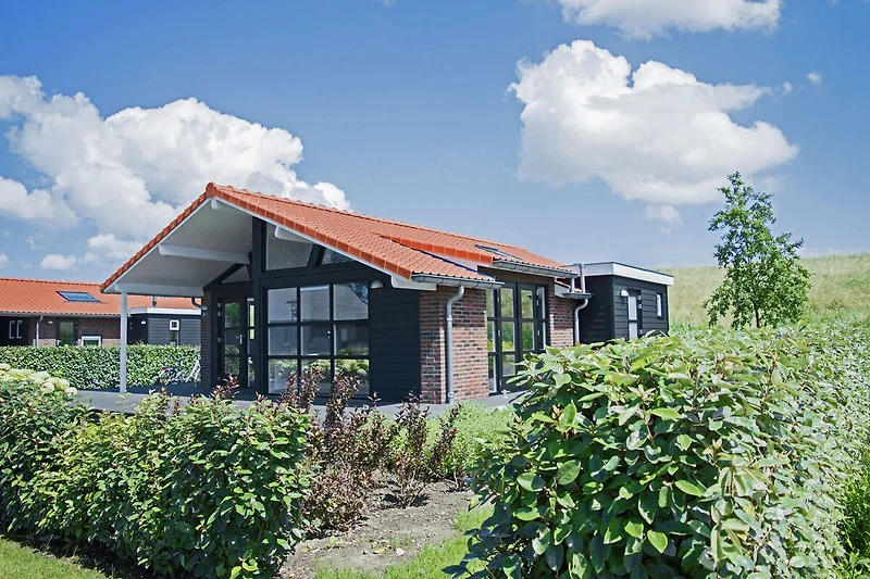 Esterno casa vacanze (estate)