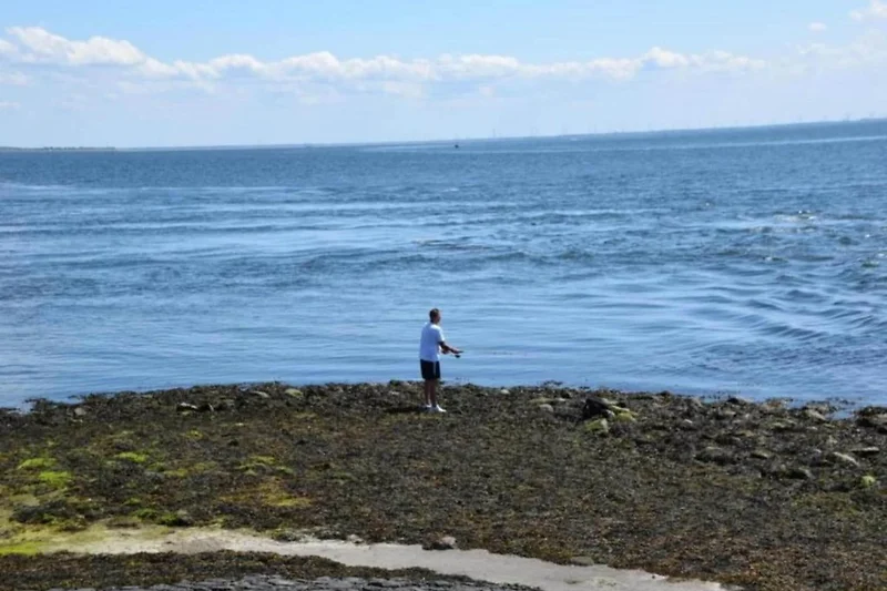 In der Region (Sommer) (>5 km)