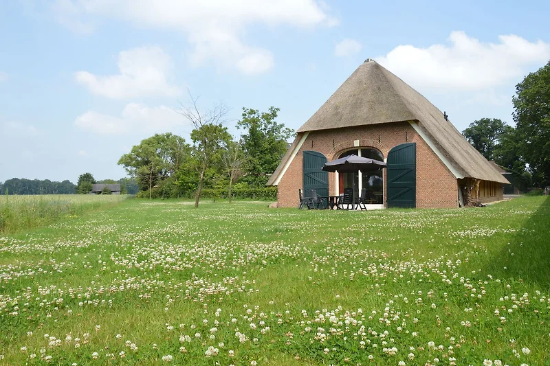 Exterieur vakantiehuis (zomer)