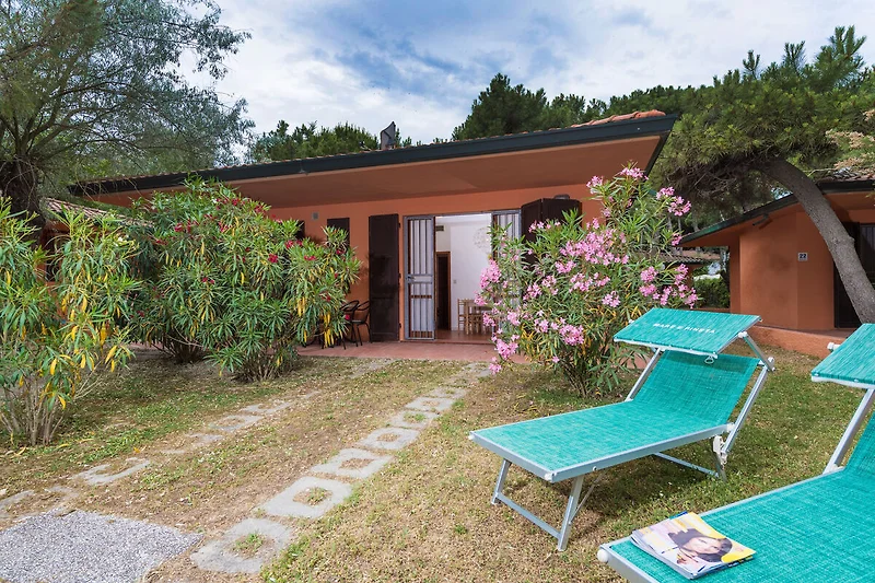 Exterieur vakantiehuis (zomer)
