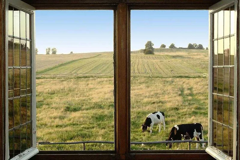 Aussicht vom Ferienhaus (Sommer)