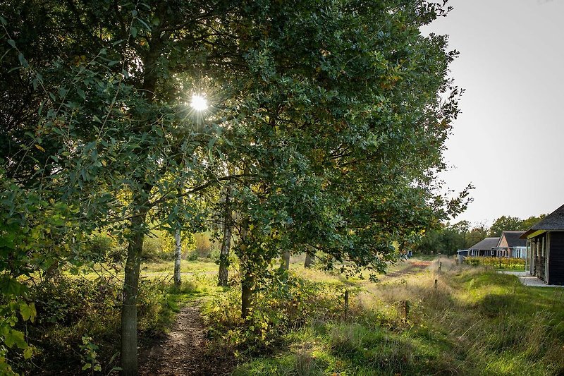 A proximité directe (été) (<1 km)