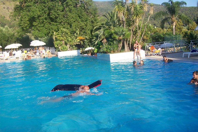 Zwembad van vakantiehuis