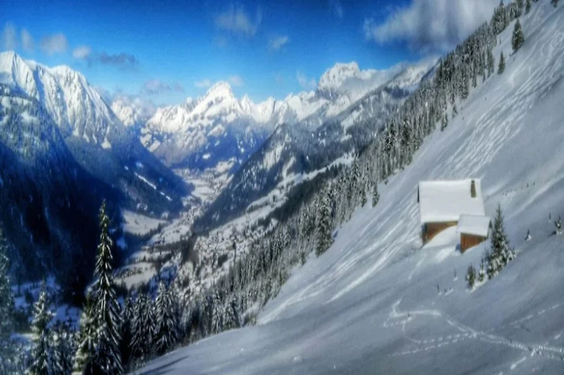 Außenseite Ferienhaus (Sommer)