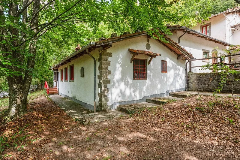 Außenseite Ferienhaus (Sommer)