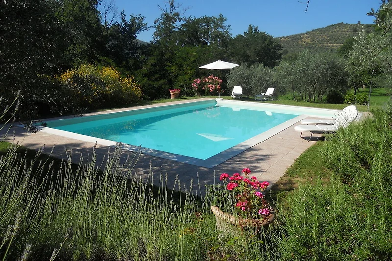 Schwimmbad des Ferienhauses