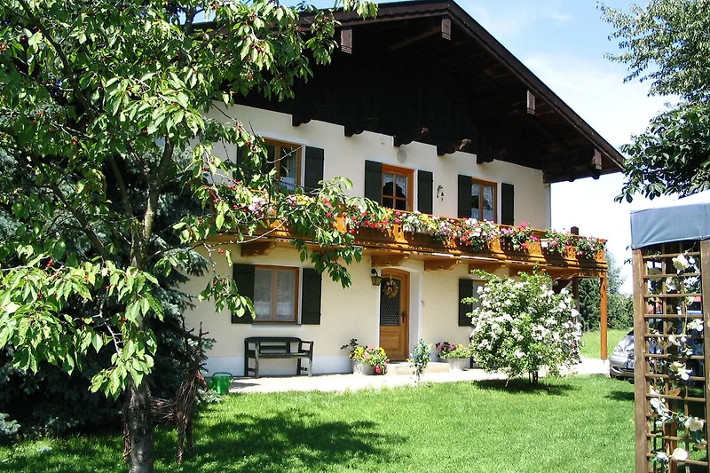 Exterieur vakantiehuis (zomer)