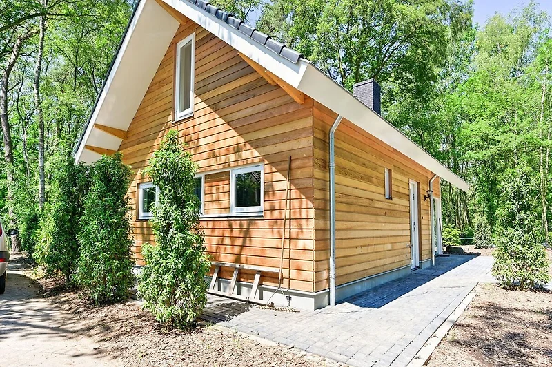 Außenseite Ferienhaus (Sommer)