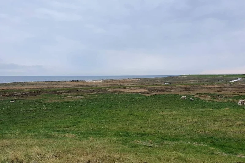 Uitzicht op het water