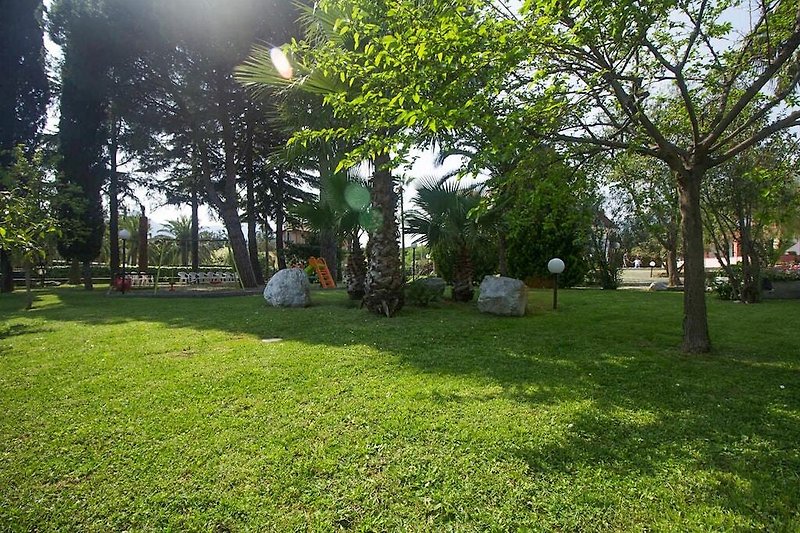 Jardín (verano)