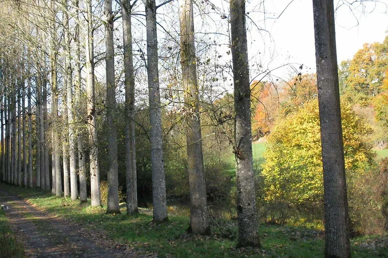 Umgebung (Sommer) (1-5 km)