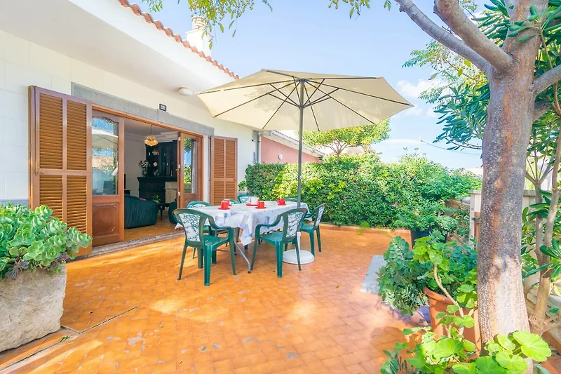 Außenseite Ferienhaus (Sommer)