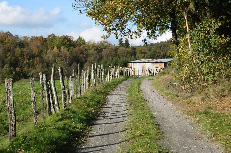 In der Region (Sommer) (>5 km)
