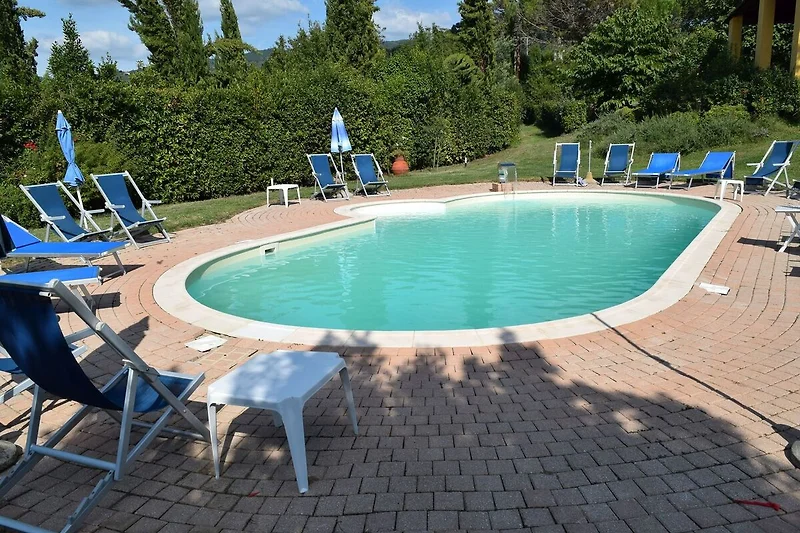 Schwimmbad des Ferienhauses